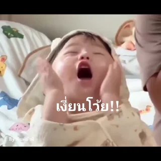 Video sticker 😹 @Stickers