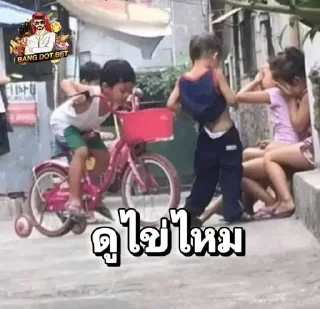 Video sticker 🥚 bangdotbetno1