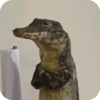 Telegram sticker 👍 Reação 2 by nths..