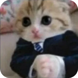 Video sticker 🐶 Reação 2 by nths..