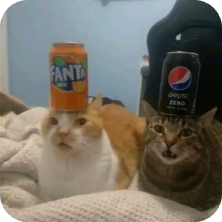 Video sticker 🐱 Reação 2 by nths..