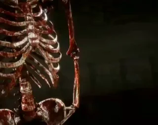 Video sticker ☠️ @phonkforDoka2 @nickwerat :: @fStikBot