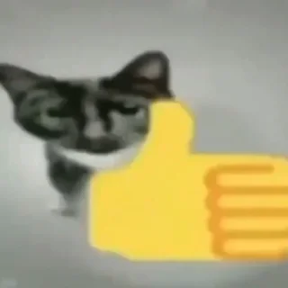 Telegram sticker 👍 fucking kity @dnwlde