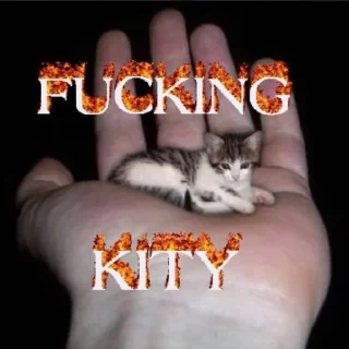 Sticker 🔥 fucking kity @dnwlde