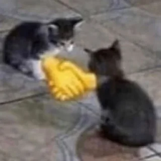 Telegram sticker 🤝 fucking kity @dnwlde