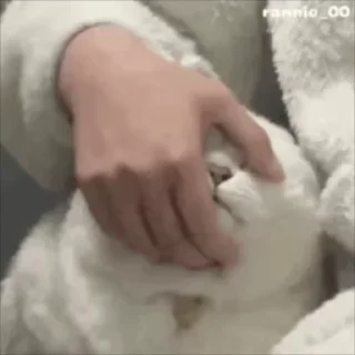 Video sticker 🌟 电话短信轰炸|飞机账号 @xiatianddeye