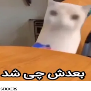 Video sticker 🙂 Kermit اینجا بود