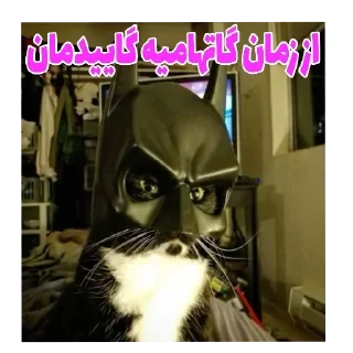 Telegram sticker 🐱 Kermit اینجا بود