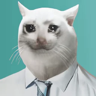 Video sticker 👻 열광의고양이 @DCConSticker