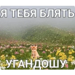 Telegram sticker 😢 yep::fav png 2