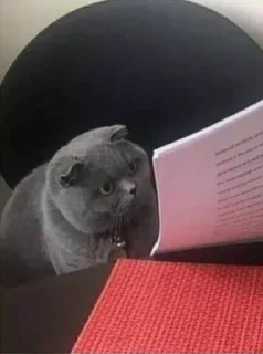 Telegram sticker 😳 @Alaawi33 Random 2