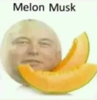 Telegram stiker 🤔 Måuroo Steal Pack