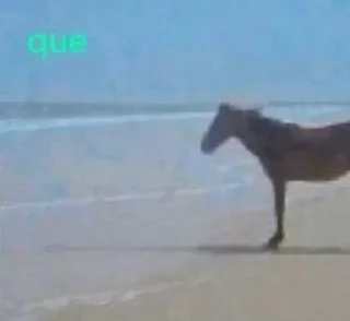 Telegram stiker ❓ Måuroo Steal Pack