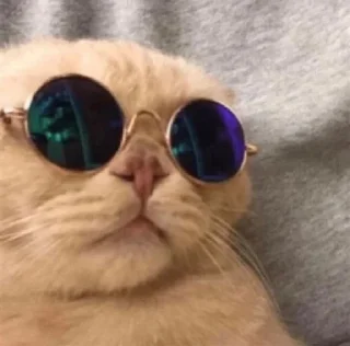 Телеграм стикер 😎 الاسطوره وصوص