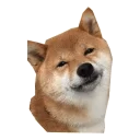 Telegram sticker 😶 LevPrav — @stckrRobot