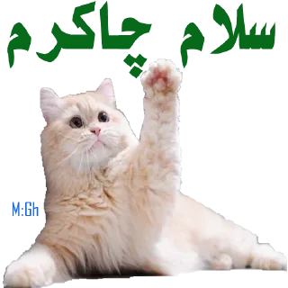 Telegram sticker ❤️ ОАО «красивые люди» 6 
@kpacu8o