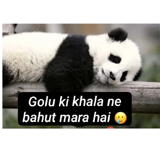 Telegram stiker 🐻 Duniyadaari by shoaib