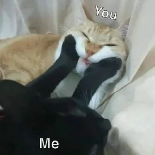 Telegram sticker 😤 Больше стиков тут: @stikery4