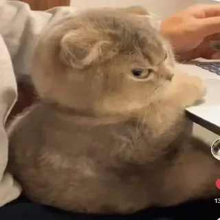 Telegram sticker 😡 Больше стиков тут: @stikery4