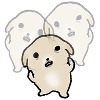 Video sticker ⭐ 작아요 감아지 @moe_sticker_bot