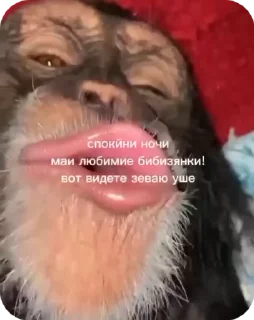 Video sticker ❤️ PACK BY @karo4ek :: @fStikBot