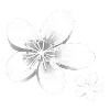 Sticker 🤍 @VIPx772  ,  @rc772