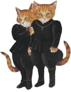 Video sticker 🐈 auroras