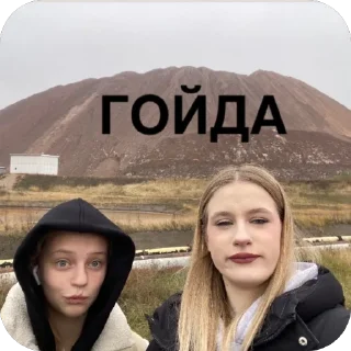 Video sticker 🫥 гойда