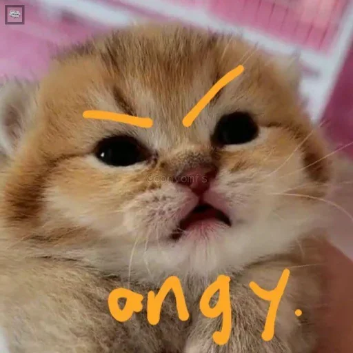 Telegram sticker 😠 जिसने ये स्टीकर ऐड किया उसकी माँ ओले की माँ है ❤️❤