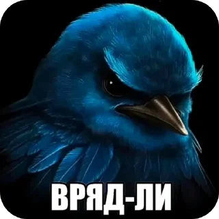 Video sticker 🤔 Врядлибри  @yeta9ain