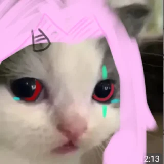 Video sticker 🥺 Kelly