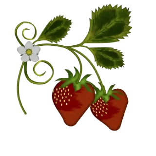 Telegram sticker 🍓 @AWRAQ_ALYASMIN / FOOD