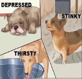 Telegram sticker 🥺 vezhen’s special