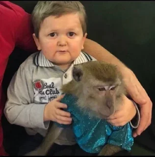 Telegram sticker 🤍 ам @TgEmodziBot