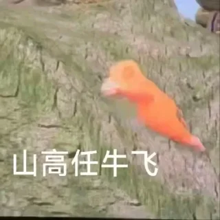 Video sticker 🛫 hh