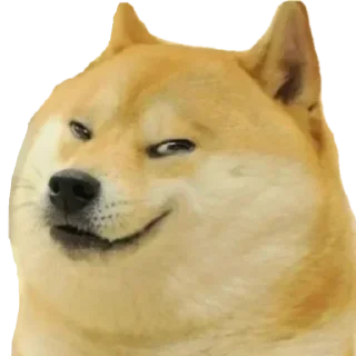 Telegram sticker ✨ @LauvSama 's Essentials