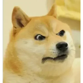 Telegram sticker ✨ @LauvSama 's Essentials