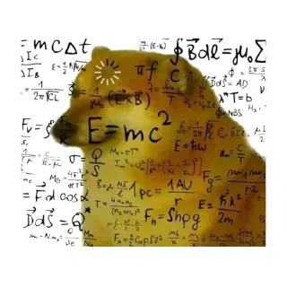 Telegram sticker ✨ @LauvSama 's Essentials