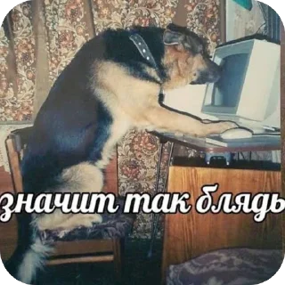 Video sticker 🫥 Частная коллекция