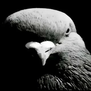 Telegram sticker 😒 Больше стиков тут: @stikery4