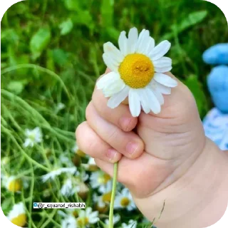 Video sticker 🌸 Qt puchu baby @r_squared_rishabh