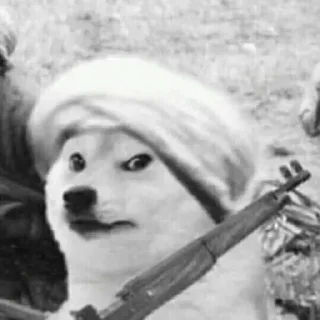 Telegram sticker 😂 @OP_OR_WOTT STICKER VOL.8 :)..................... — @stckrRobot