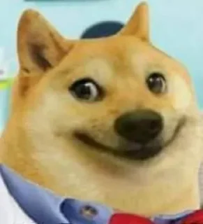 Telegram sticker 😂 @OP_OR_WOTT STICKER VOL.8 :)..................... — @stckrRobot