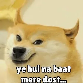 Video sticker 😂 @OP_OR_WOTT STICKER VOL.8 :)..................... — @stckrRobot