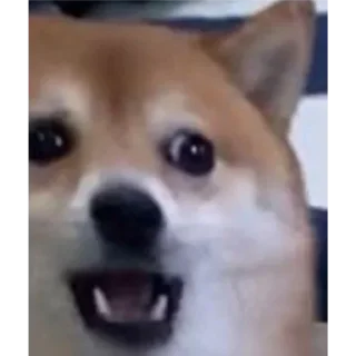 Telegram sticker 😨 @Mrsathwik Vol.1