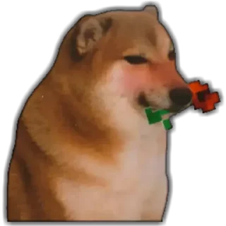 Telegram sticker 😘 RosaMelano