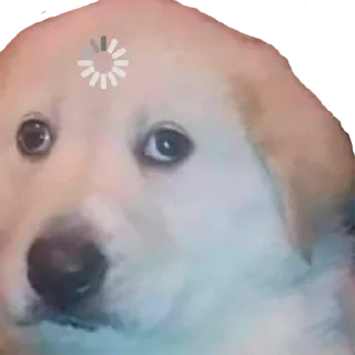 Telegram sticker 🤓 RosaMelano