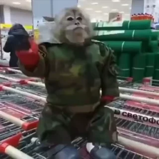 Video sticker 🐵 Santi Steal Pack