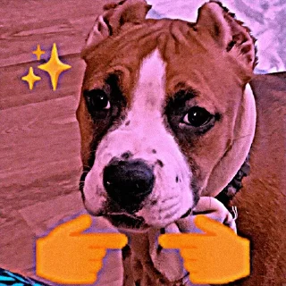 Telegram sticker 😫 СЯЯЯЯЯЯЯЯЯБАААКЯЯ (любимая булочка, люблю тебя ❤️)
