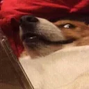 Telegram sticker 🌚 Stickers My @TAJKOM ،🍷🦄